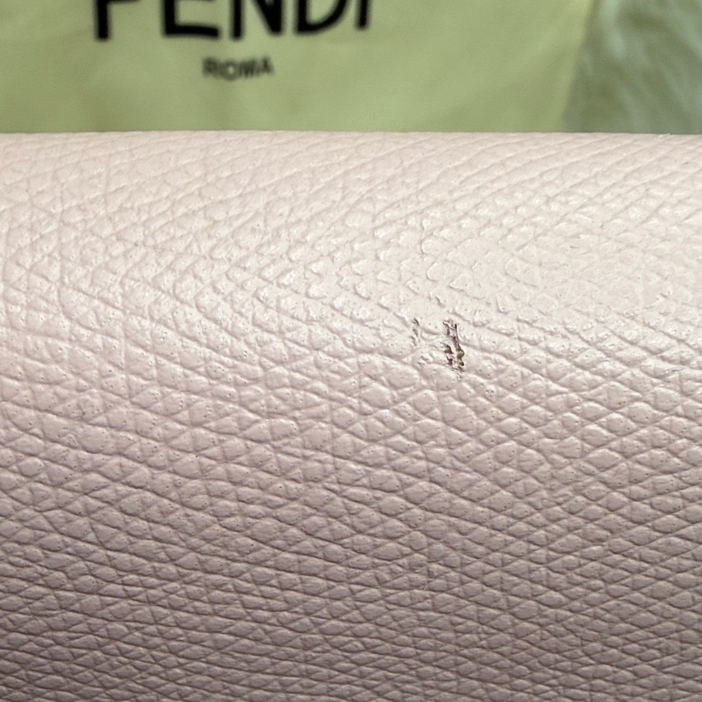 Fendi WOC - Picture 7 of 12